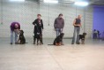 /album/fotogalerij-puppendag/p1080647-800x535-jpg/